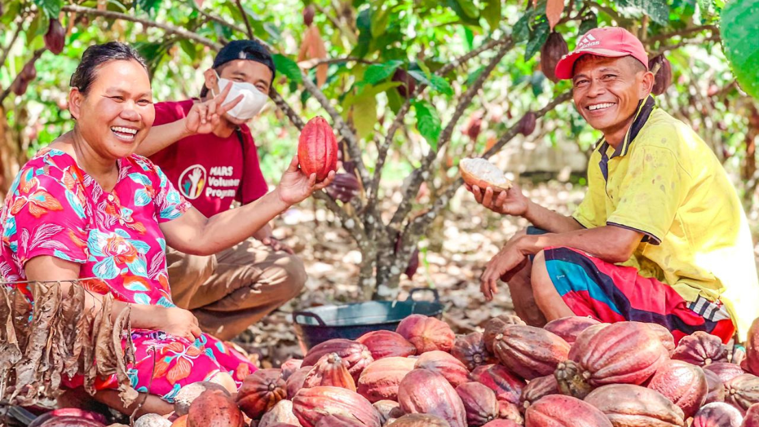 Cocoa farmers in Indonesia